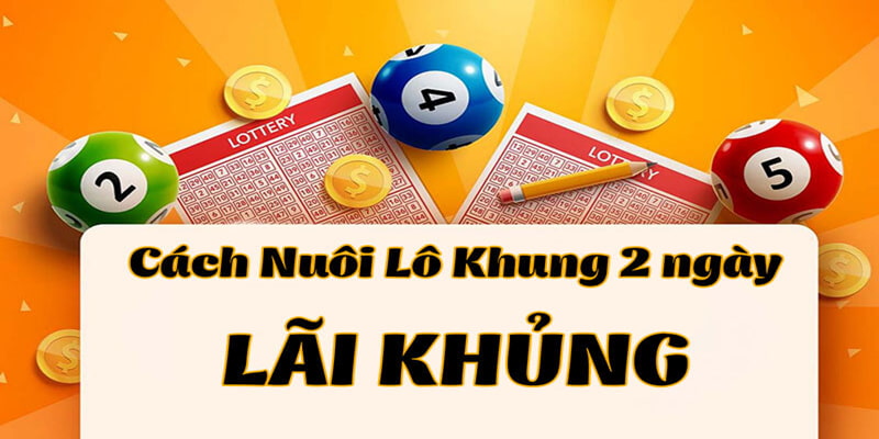 Những kinh nghiệm nuôi lô khung 2 ngày để hiệu quả tốt nhất